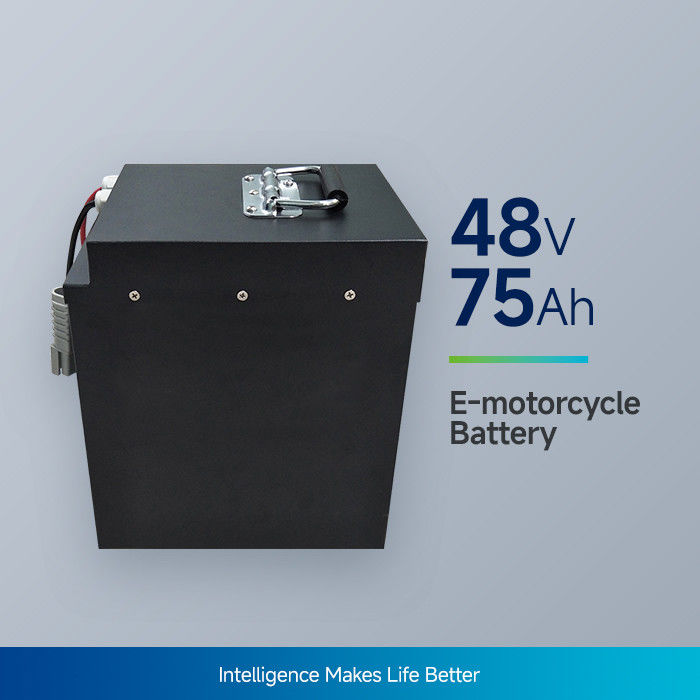 54.6V Pengisian yang bisa dilepas NCM Baterai Bahan 6P13S Untuk e motor trike dan skuter